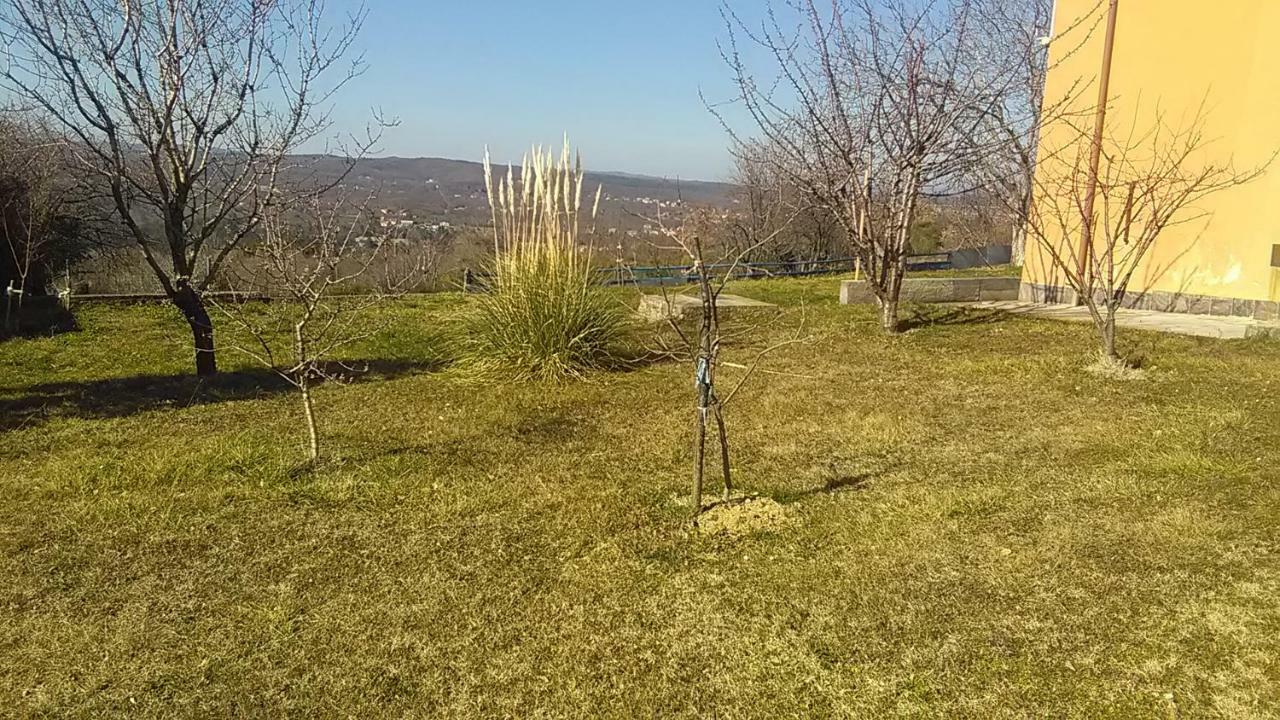 Ema Appartement Labin  Buitenkant foto